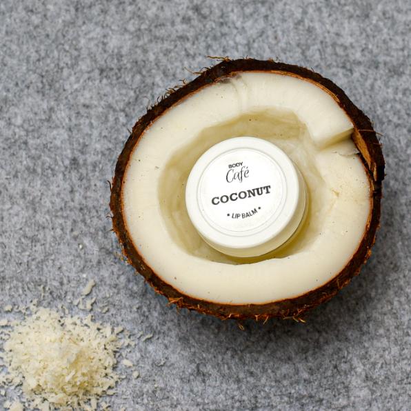 BodyCafé Coconut Lip Balm