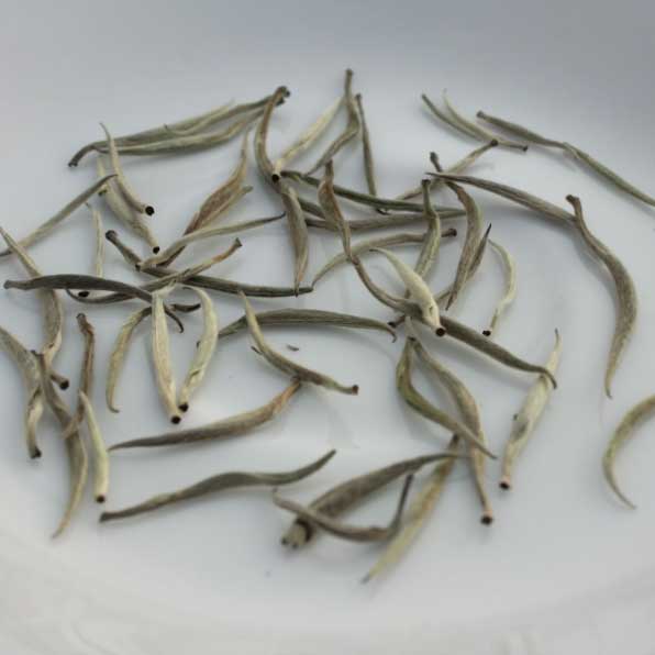 White Tea-Silver Needle