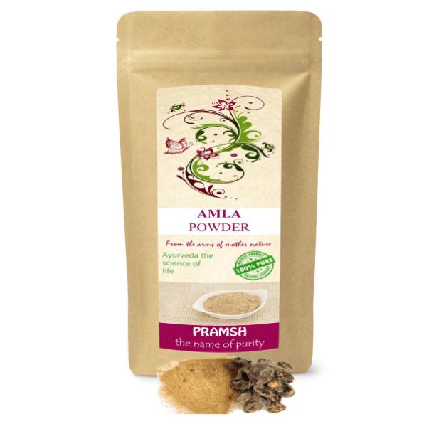 Premium Quality Amla Powder