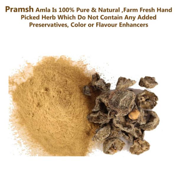 Premium Quality Amla Powder