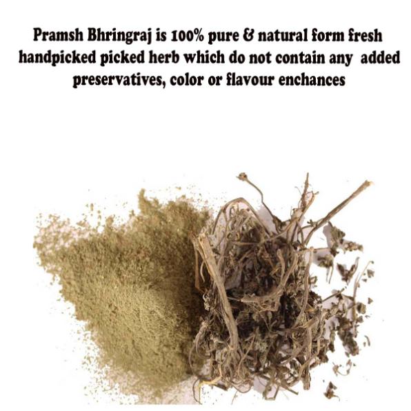 Pramsh Premium Quality Bhringraj Powder