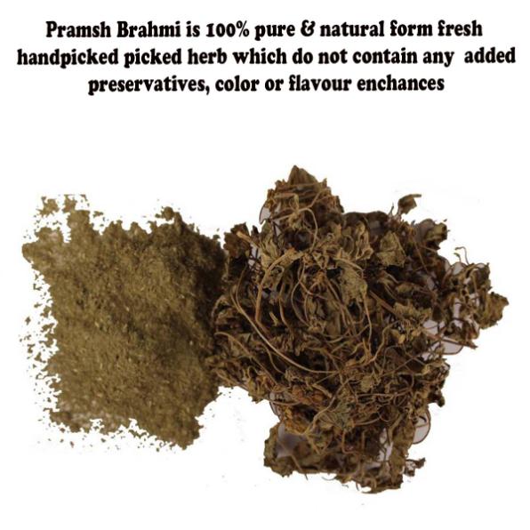 Pramsh Premium Quality Brahmi Powder