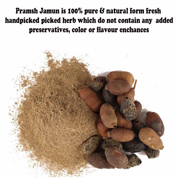 Pramsh Premium Qulaity Jamun Seeds Powder