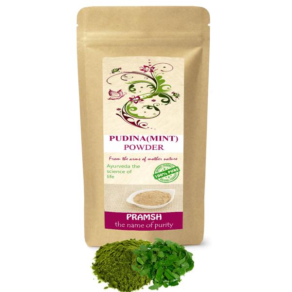 Pramsh Premium Qulaity Pudina Mint Powder