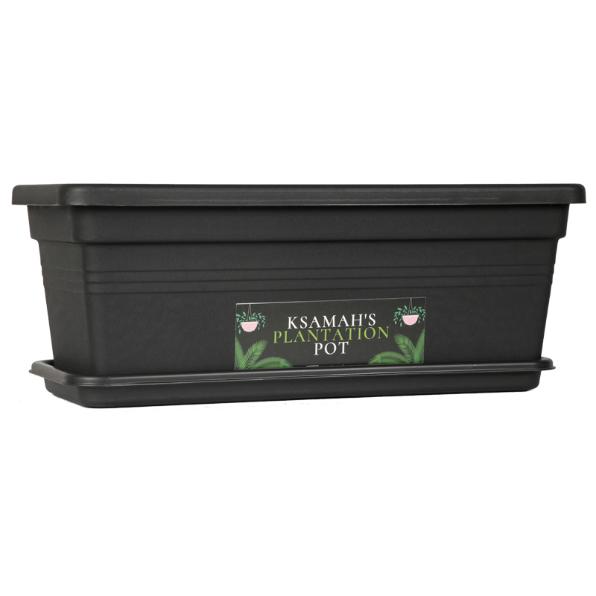 KSAMAH Green Grow Box (8 Items in Box)