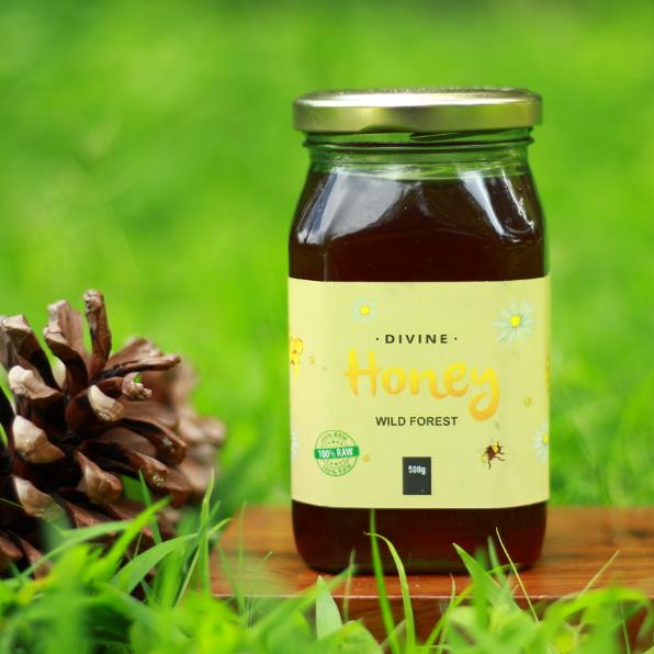 Wild Forest Honey