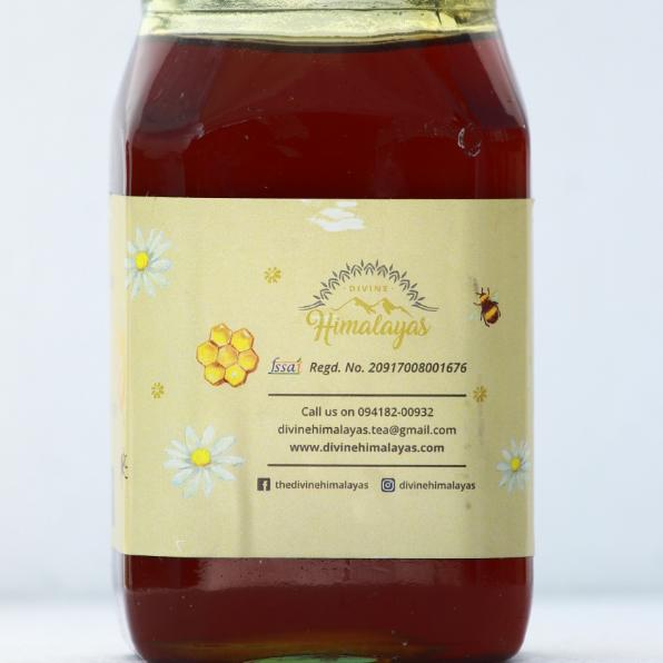 Wild Forest Honey