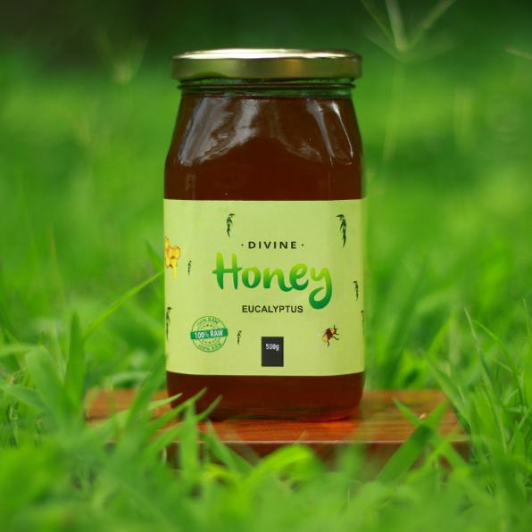 Eucalyptus Honey