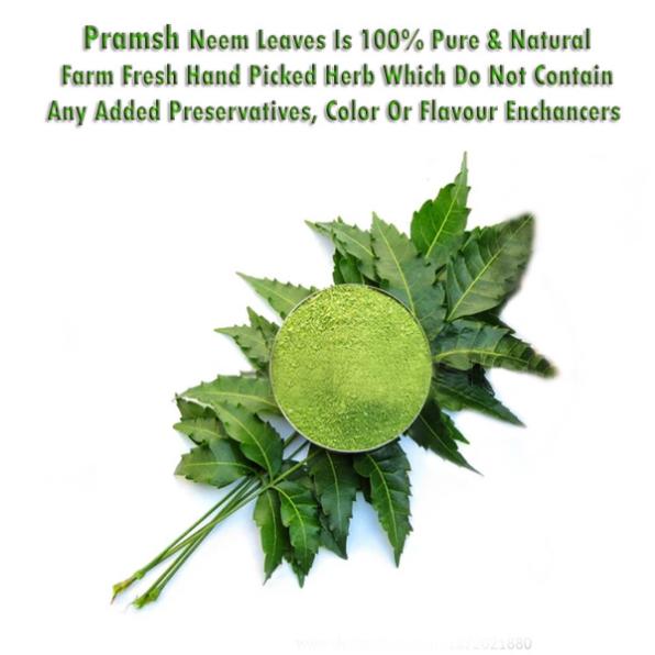 Pramsh Luxurious Neem Leaf Powder Pack Of