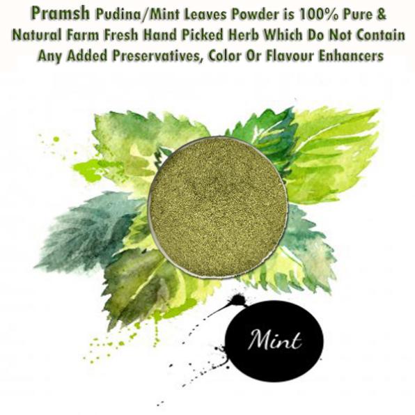 Pramsh Luxurious Pudina Mint Powder Pack Of