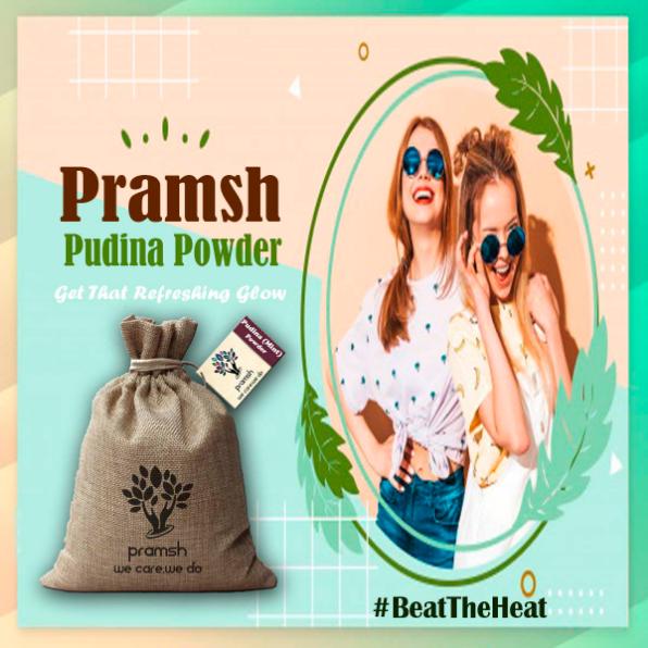 Pramsh Luxurious Pudina Mint Powder Pack Of